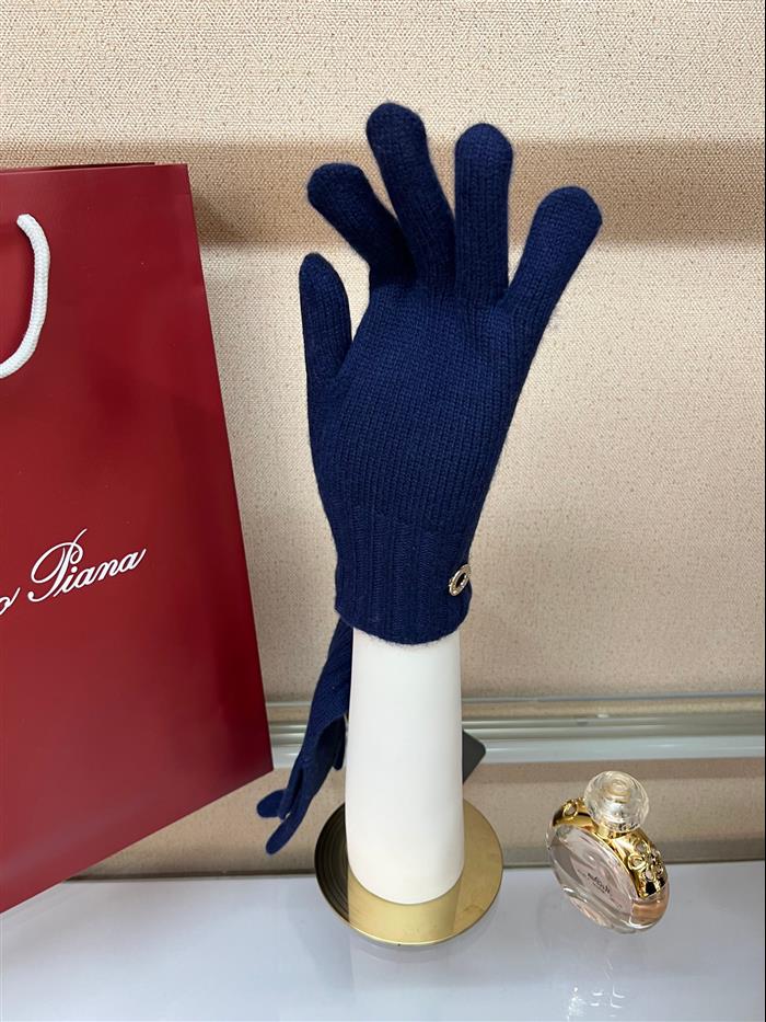 2026116112023656 100